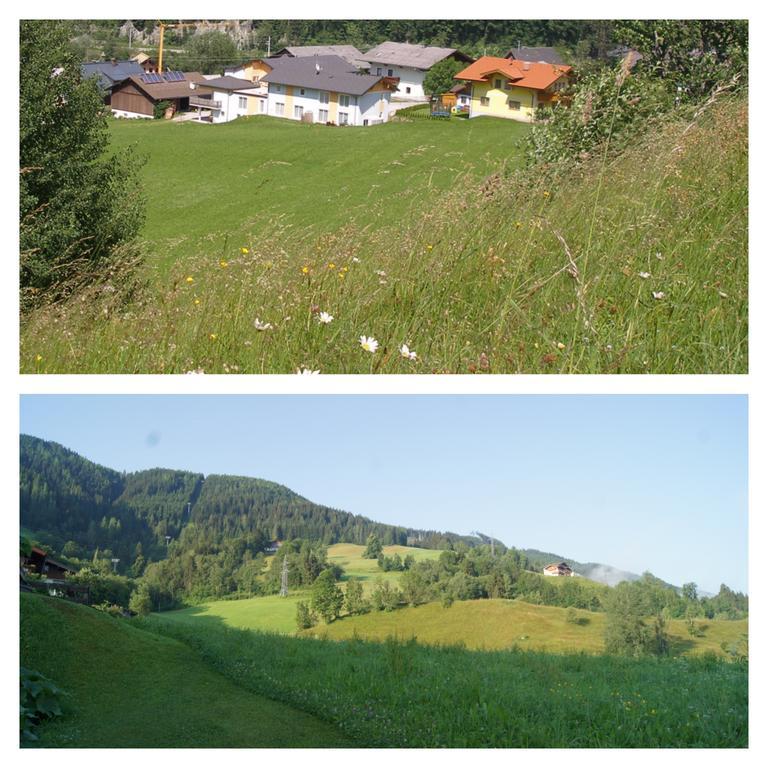 Zeffererhof Διαμέρισμα Schladming Εξωτερικό φωτογραφία